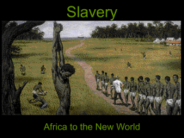 The Slave Trade
