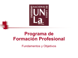PROGRAMA DE FORMACION PROFESIONAL