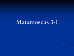 Matamoscas 3-1