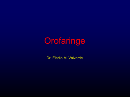 Orofaringe
