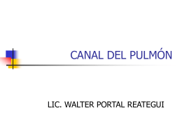 CANAL DEL PULMON - .:: Universidad Privada Norbert …