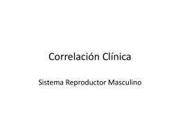 Correlacion Clinica