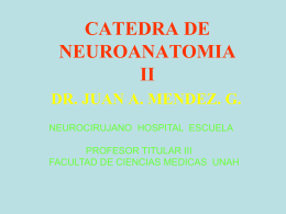 CATEDRA DE NEUROANATOMIA II