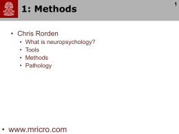 c83lnp: Neuropsychology