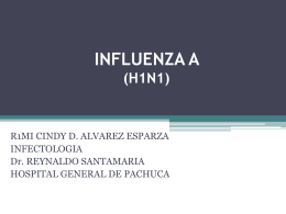 INFLUENZA A H1N1