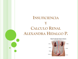 Diapositiva 1 - Fisioterapia