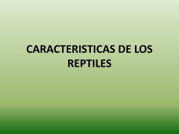 CARACTERISTICAS DE LOS REPTILES