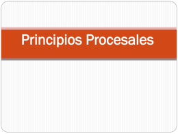 Principios Procesales