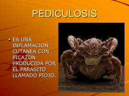 PEDICULOSIS - Funat productos naturales Colombia