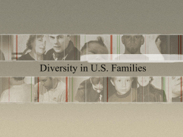 Diversity in U.S. Families