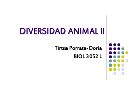 LAB.06 DIVERSIDAD ANIMAL II - Recinto Universitario de