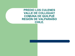 PREDIO LOS CULENES VALLE DE COLLIGUAY COMUNA DE …