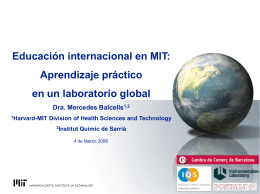 MISTI MIT International Science and Technology Initiatives