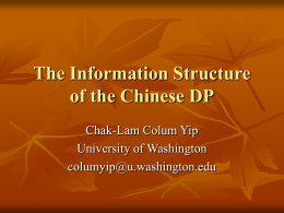 The Information Structure of the Chinese DP