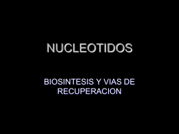 Diapositiva 1 - Bioquimica113's Blog | Just another
