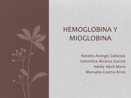 Hemoglobina y mioglobina