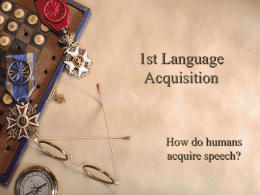 1st Language Acquisition