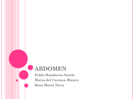 ABDOMEN - Biomedicgow