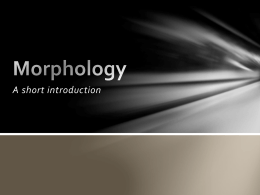Morphology - Arif Awaludin's Notes