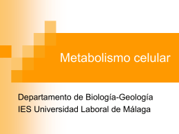 Metabolismo celular