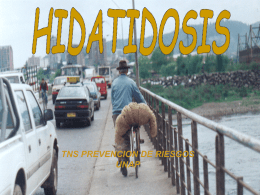Hidatidosis