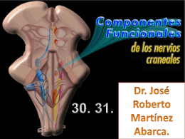 Diapositiva 1 - doctormartinez