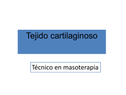 TEJIDO CARTILAGINOSO