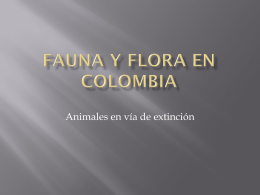 FAUNA Y FLORA EN COLOMBIA