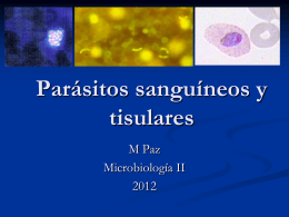 Filariasis - Microinmunoumg's Blog | Just another