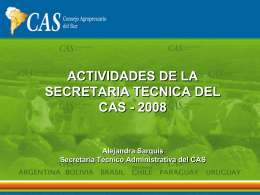 ACTIVIDADES DE LA SECRETARIA TECNICA DEL CAS