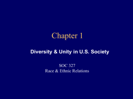 Diversity & Unity in U.S. Society