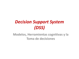 Decision Support System (DSS)
