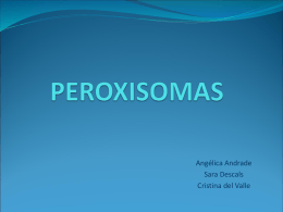 PEROXISOMAS