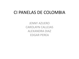 CI PANELAS DE COLOMBIA - comex2012