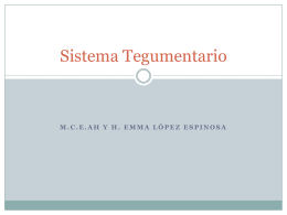 Diapositiva 1 - Sistema Tegumentario | Just another