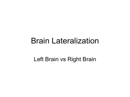 Brain Lateralization - Faculty Server Contact