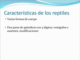 Clase Reptilia