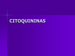 AUXINAS - REGULADORES DE CRECIMIENTO | Just …