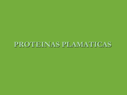 PROTEINAS PLAMATICAS - Bioquimica113's Blog | Just …