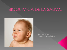BIOQUIMICA DE LA SALIVA. - | Dr. Alejandro Alvarez