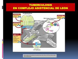 TUBERCULOSIS EN COMPLEJO ASISTENCIAL DE LEON