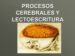 PROCESOS CEREBRALES Y LECTOESCRITURA