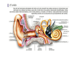 Diapositiva 1