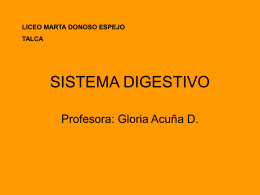 Aparato_Digestivo - Liceo Marta Donoso Espejo