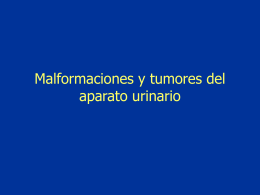 Malformaciones y tumores del aparato urinario