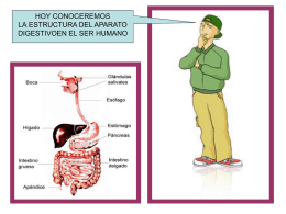 Diapositiva 1