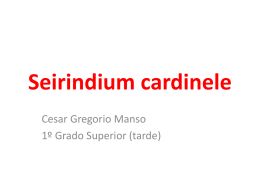 Seirindium cardinele