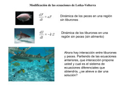 Diapositiva 1 - Universidad de Antofagasta