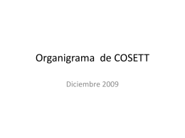 Organigramas Propuestos de COSETT