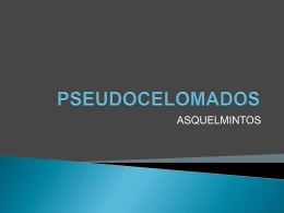 PSEUDOCELOMADOS